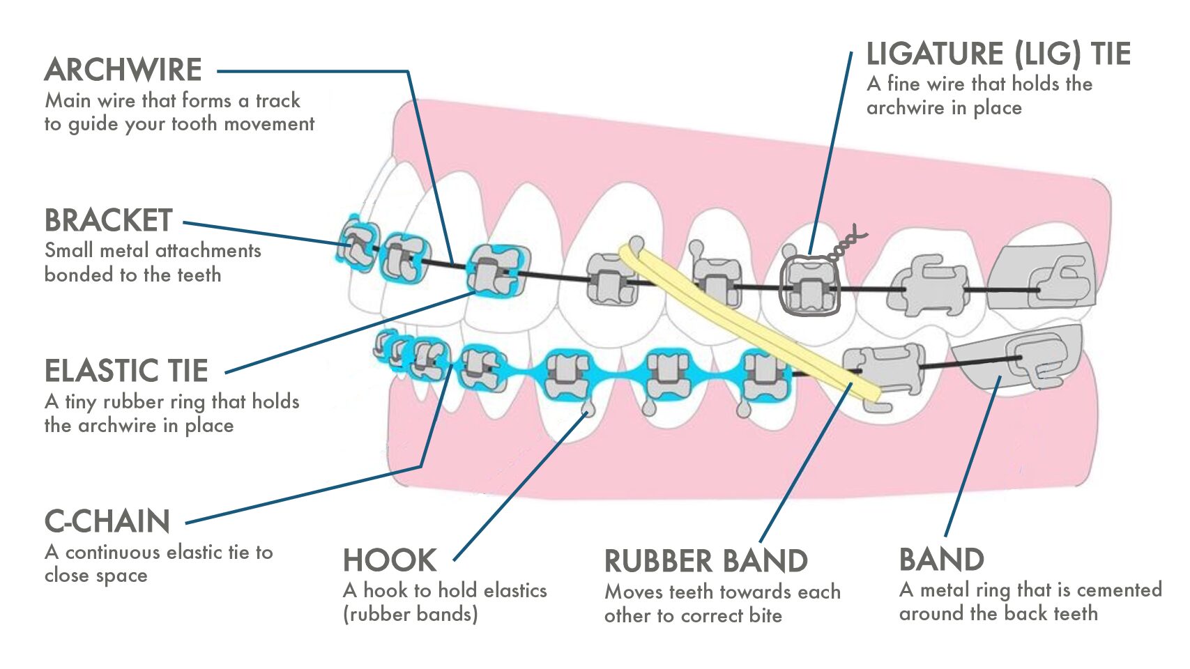 Appliance Diagram NEW